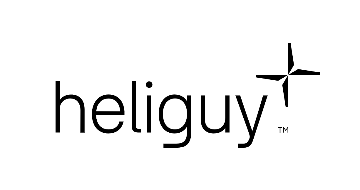 Winner small image - heliguy